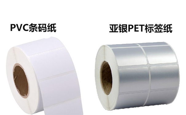 1555038339669504.jpg P組合.jpg